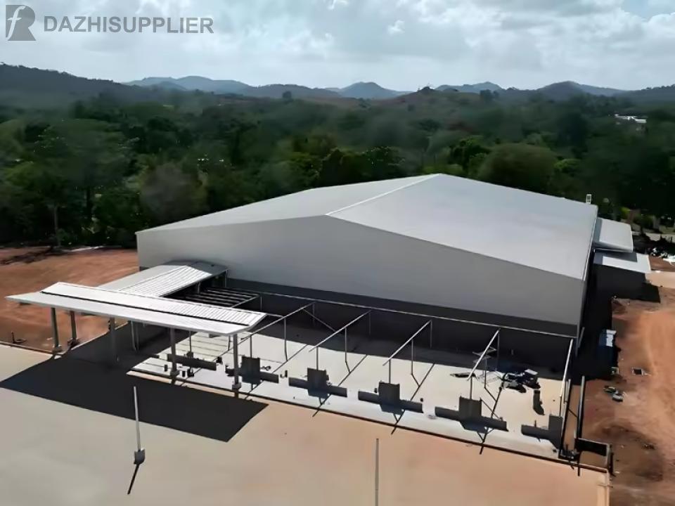Professional Modern Design Metal Light Steel Structure Construction Hall Hangar Warehouse Shed